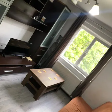 Suceava Apartment *
